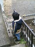 image/tsunodama-2006-01-09T10:21:12-1.jpg